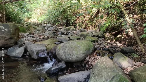 Crystal Clear Mountain River Flowing Through Natural Forest Landscape