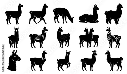 Photography Llama Alpaca Silhouette Collection Vector Animal Icons Isolated on White