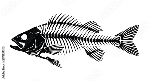 Foto Fish skeleton silhouette on a white background graphic illustration