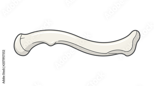Bilde på lerret Anatomical illustration of a human femur with a black outline on a white background