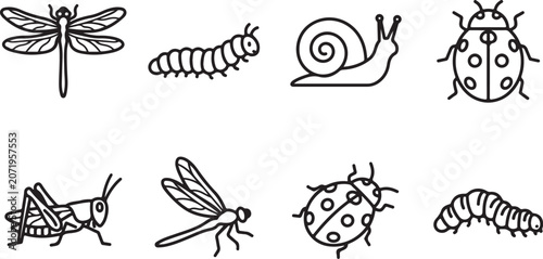 Φωτογραφία Simple black and white insect illustration set