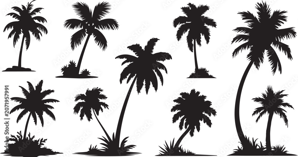 Fototapeta premium Black palm trees set isolated on white background. Palm silhouettes. Design of palm trees for posters, banners and promotional items. Vector illustration