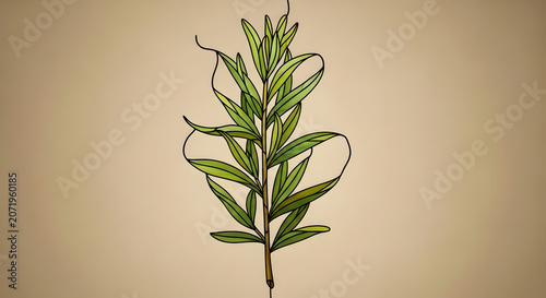 Minimalist botanical illustration of a slender green leafy plant branch on a neutral beige background for nature and wellness design projects
