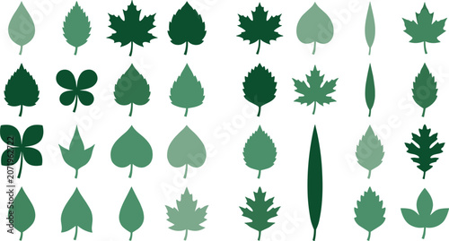 Green Tree Leaf Vector Silhouette Set with Maple Oak Birch Clover and Willow Shapes for Nature Ecology Autumn and Sustainability Graphic Designs