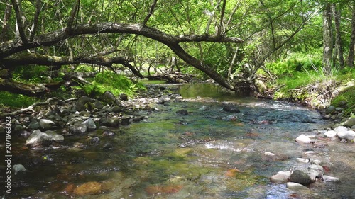 杣添川の源流の流れ