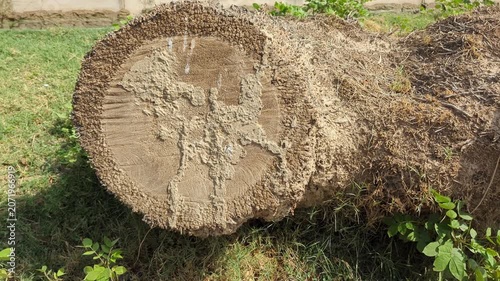 stack of logs