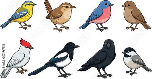 Common Backyard Birds Vector Cartoon Illustration Set Featuring Bluebird Crow Magpie Wren Chickadee and Warbler Species for Nature and Ornithology Designs