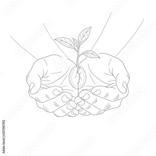 Minimalist Line Drawing of Hands Holding Plant – Black and White Sustainability Icon