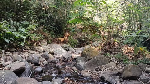 Crystal Clear Mountain River Flowing Through Natural Forest Landscape
