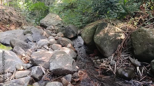Crystal Clear Mountain River Flowing Through Natural Forest Landscape