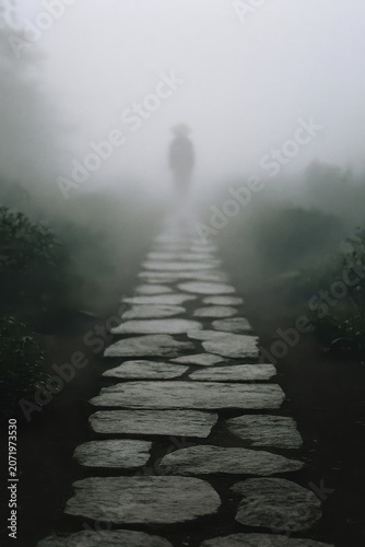 Misty journey along a worn stone path into the unknown