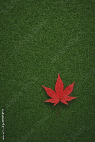 A single red maple leaf resting on a vibrant green mossy background