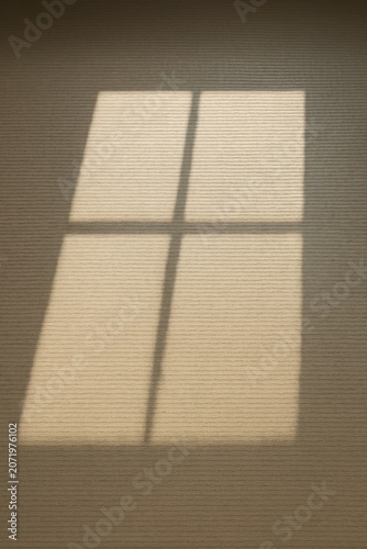 Soft window shadow cast on textured wall in minimalist light