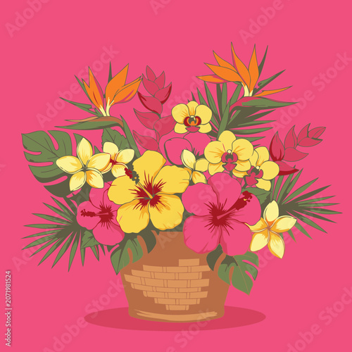 Tropical flower bouquet in a woven basket against a vibrant pink background. Colorful hibiscus, plumeria, orchids, and exotic birds of paradise flowers arranged in a decorative basket.