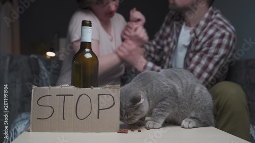 A neglected grey cat searches for food and eats dry crumbs off a table, while an alcoholic couple aggressively fights and argues in the blurry background.