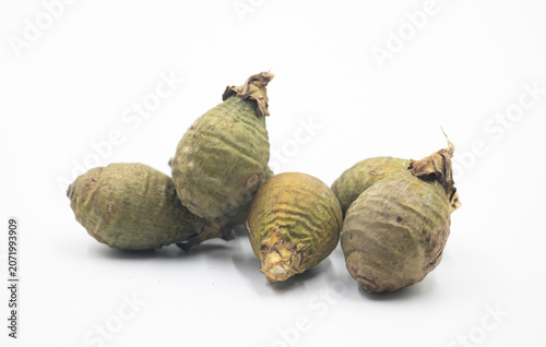 areca nut, also called betel nut