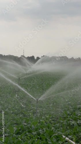 agricultural irrigation on field during hot spell in europe
