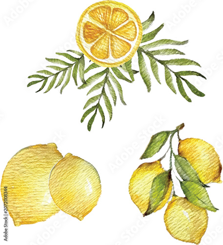 Obraz na płótnie Adobe Illustrator Artwork watercolor illustration fresh lemonade orang greenerie