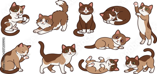 Bild auf Leinwand Cute Calico and Tabby Cat Behavior Vector Icon Set with Happy Kittens Playing St
