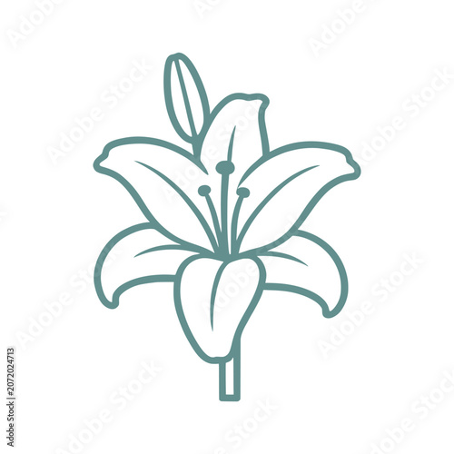 Bild auf Leinwand lili flower vector icon