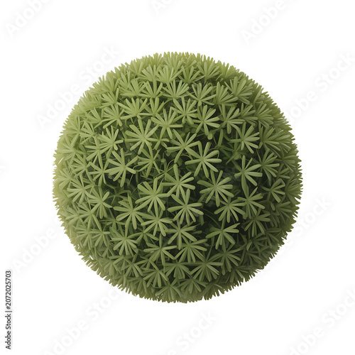 Round Artificial Green Boxwood Topiary Ball Isolated on White Background for Interior Decoration