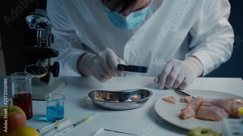 A laboratory technician uses a magnifying glass to inspect raw chicken meat samples for bacteria, with a scientific microscope and chemical beakers in the background.