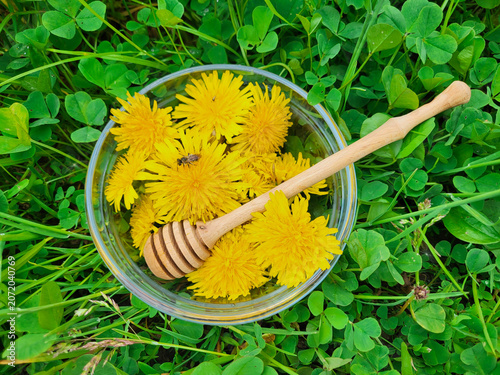 In the grass, a wooden honey spoon and yellow dandelions are lying in a glass bowl, with a bee crawling on them.