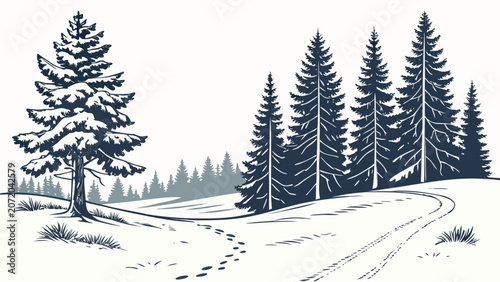 Winter forest landscape with footprints in snow landscape footprints woodland