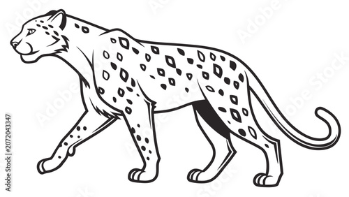Tableau sur toile Detailed line art illustration of a walking spotted leopard with predator