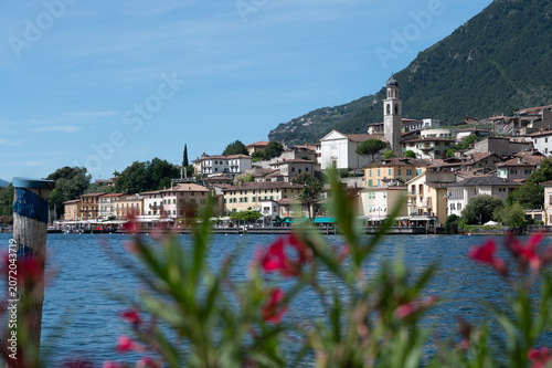 Limone