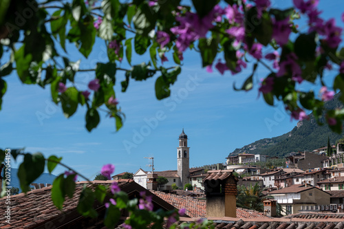 Limone
