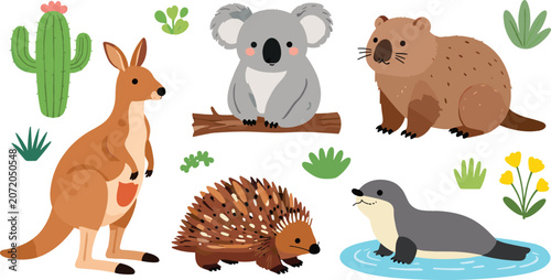 Photography Vector illustration of Australian animals and plants representing wildlife, cult