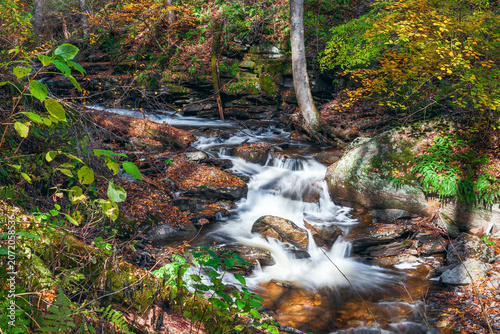 Ganoga Glen section of Kitchen Creek just downstream from the Erie Falls in Ricketts Glen State Park. Pennsylvania