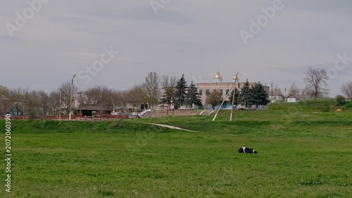 spring nature on the banks of the Dniester