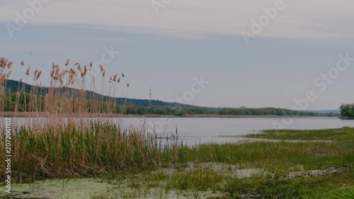 spring nature on the banks of the Dniester