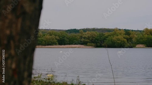 spring nature on the banks of the Dniester