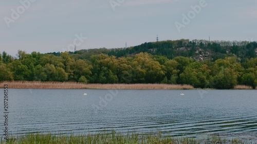 spring nature on the banks of the Dniester