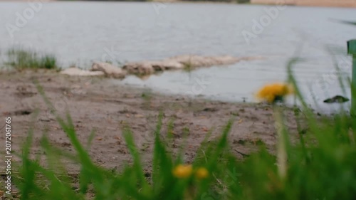 spring nature on the banks of the Dniester