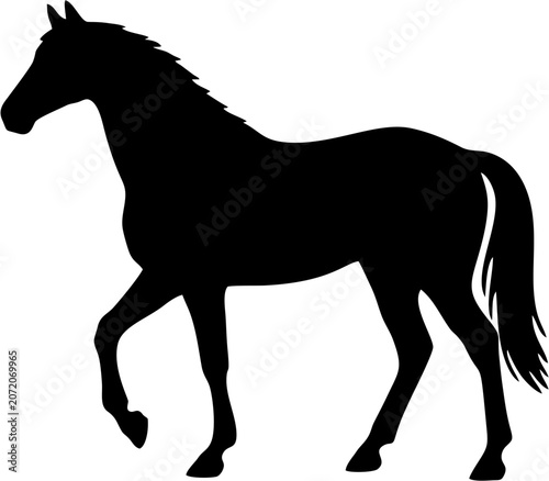 Obraz na plátně Walking Horse Silhouette.eps