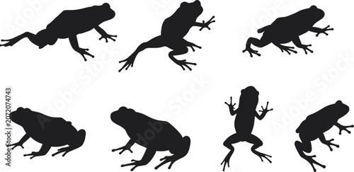 Fotografi Frog silhouettes collection isolated on white background, black vector illustrat