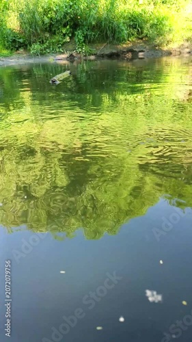 Calm River Water Surface With Green Vegetation Reflections — Nature Background 