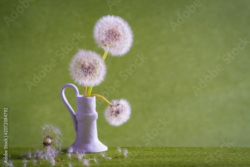 Fluffy dandelion flowers in vase; Taraxacum Officinale	