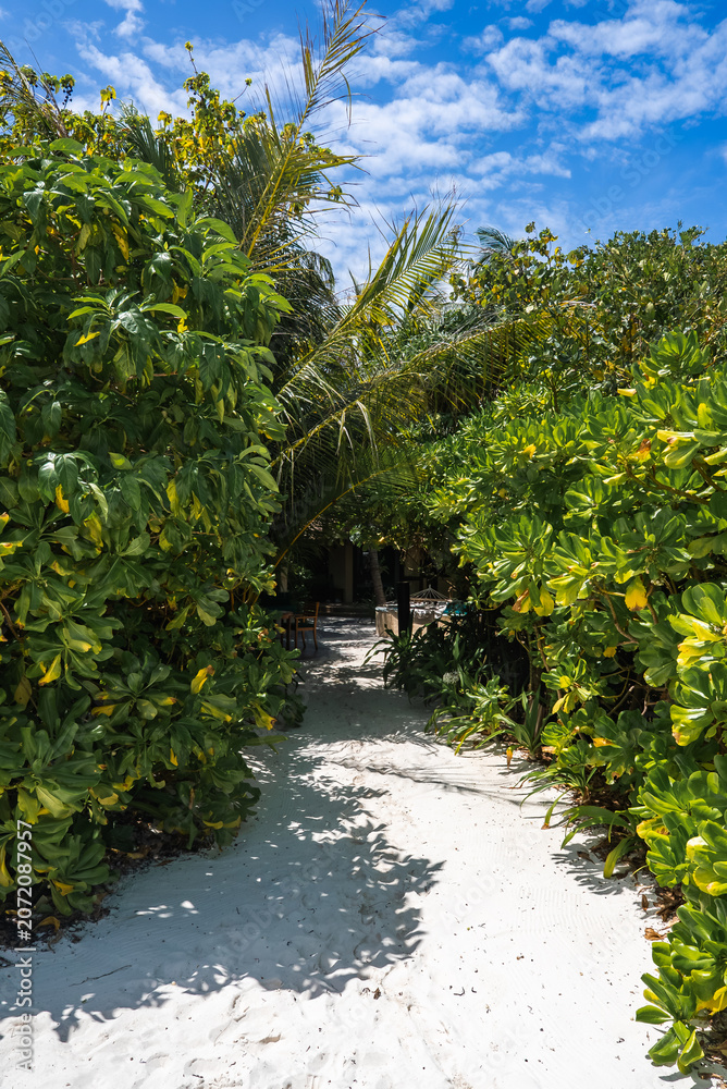 Fototapeta premium A coral sand path winds through tropical foliage toward a shaded beachfront villa in the Maldives, with sun dappled leaves and midday light under a cloud dappled sky.