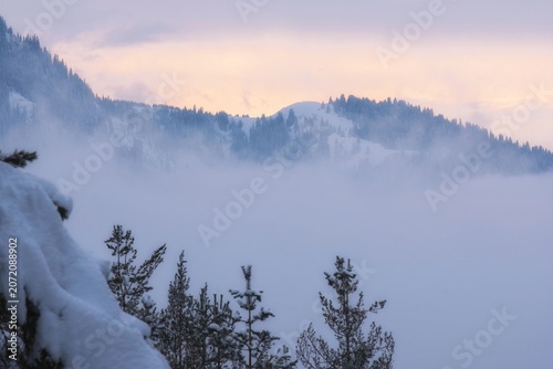 Winter mountain landscape covered in snow and fog at sunset. Commercial background for winter travel, tourism advertising and outdoor adventure concepts with negative space for text layout.