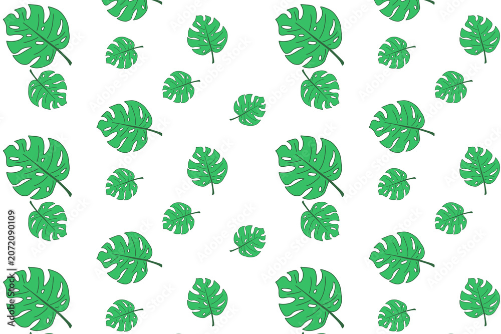 Fototapeta premium Tropical Monstera Leaf Seamless Pattern Background
