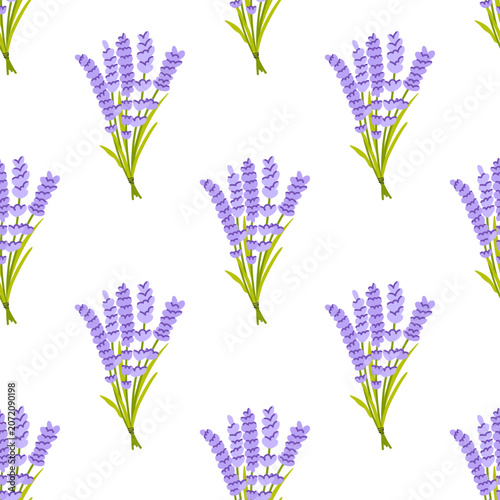 Seamless pattern with lavender bouquets. Botanical floral vector background. Provence herbal plant hand drawn illustration