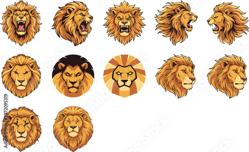 Set of aggressive lion heads with vibrant orange mane in roar profile and front view for sport team mascot illustration.