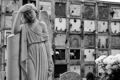 Bild auf Leinwand Marble angel statue at the historic cemetery in Taormina, Sicily, Italy