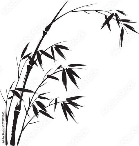 Traditional Asian style ink wash bamboo illustration with detailed stalks and leaves