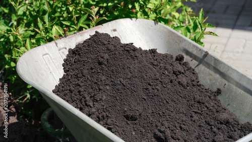 A metal garden wheelbarrow filled with rich, dark organic soil outdoors on a sunny day. Close up.